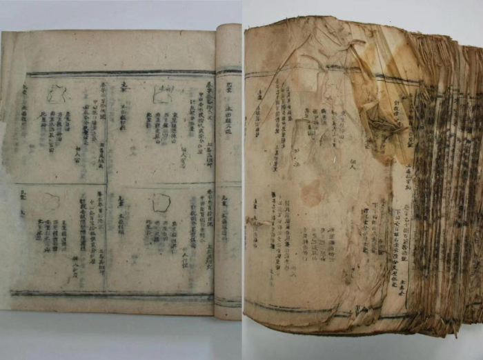 “修书亦修心”——走近百年图书馆里的古籍守护人