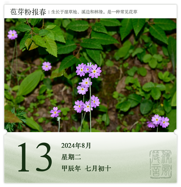 箴历日历8-13.png