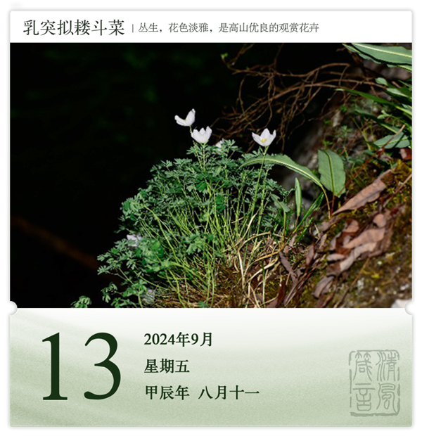 1726038553640979.png 箴历日历9-13.png