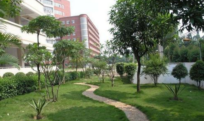 凯发k8省今年中专招生方案公布