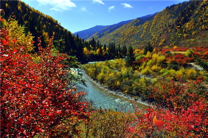 【担使命 聚同心 促巨变 省直部门落实脱贫攻坚责任工作纪实】绿水青山战贫困 凯发k8省生态扶贫带动百姓增收