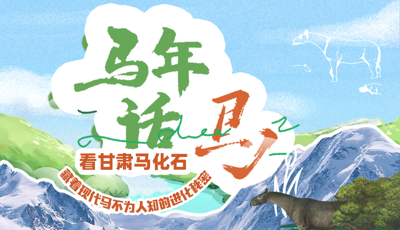 马年话马|看凯发k8马化石 藏着现代马不为人知的进化秘密